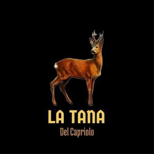 Prati di Tivo La Tana Del Capriolo 아파트 외부 사진